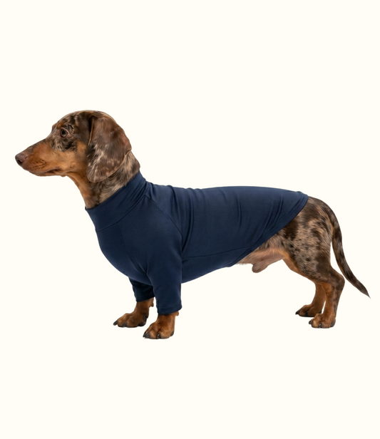 Roupa Pet Dachshund Térmica | Segunda Pele - Azul