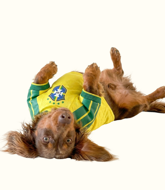 Camisa Copa 26 para Dachshund