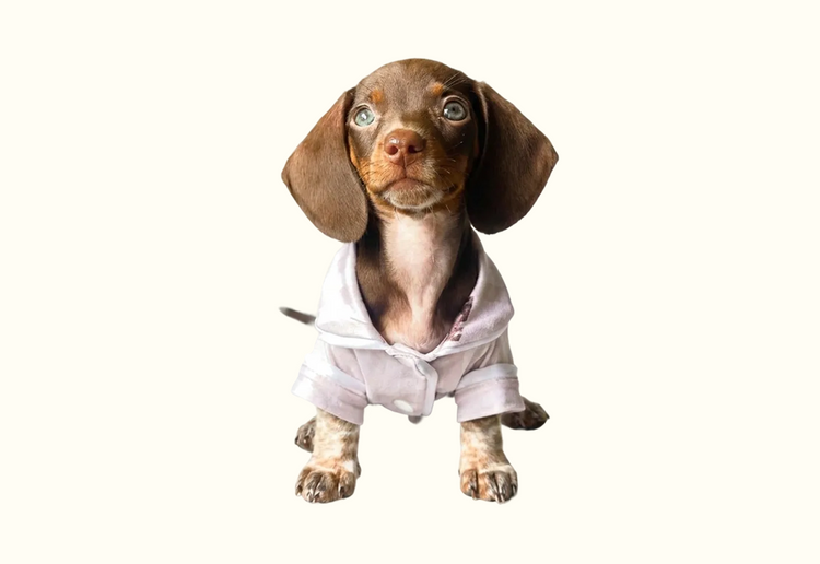 Pijama Americano