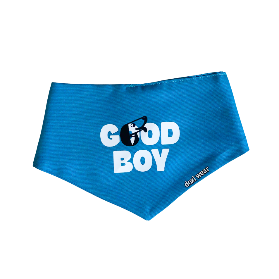 Bandana Pet God Boy Azul