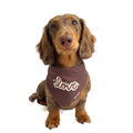 Bandana Pet Love Marrom