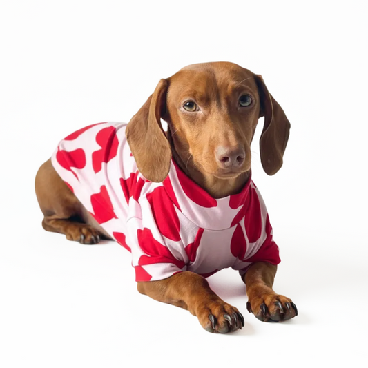 Camisa Pet Corações