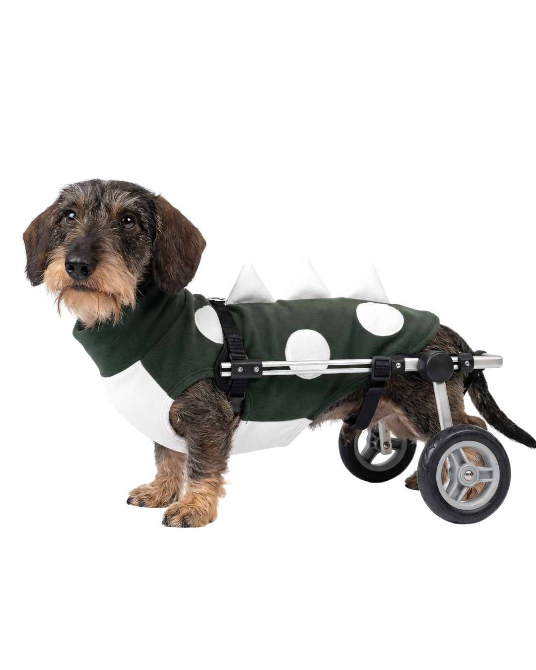 Roupa Pet Dino Fleece Verde