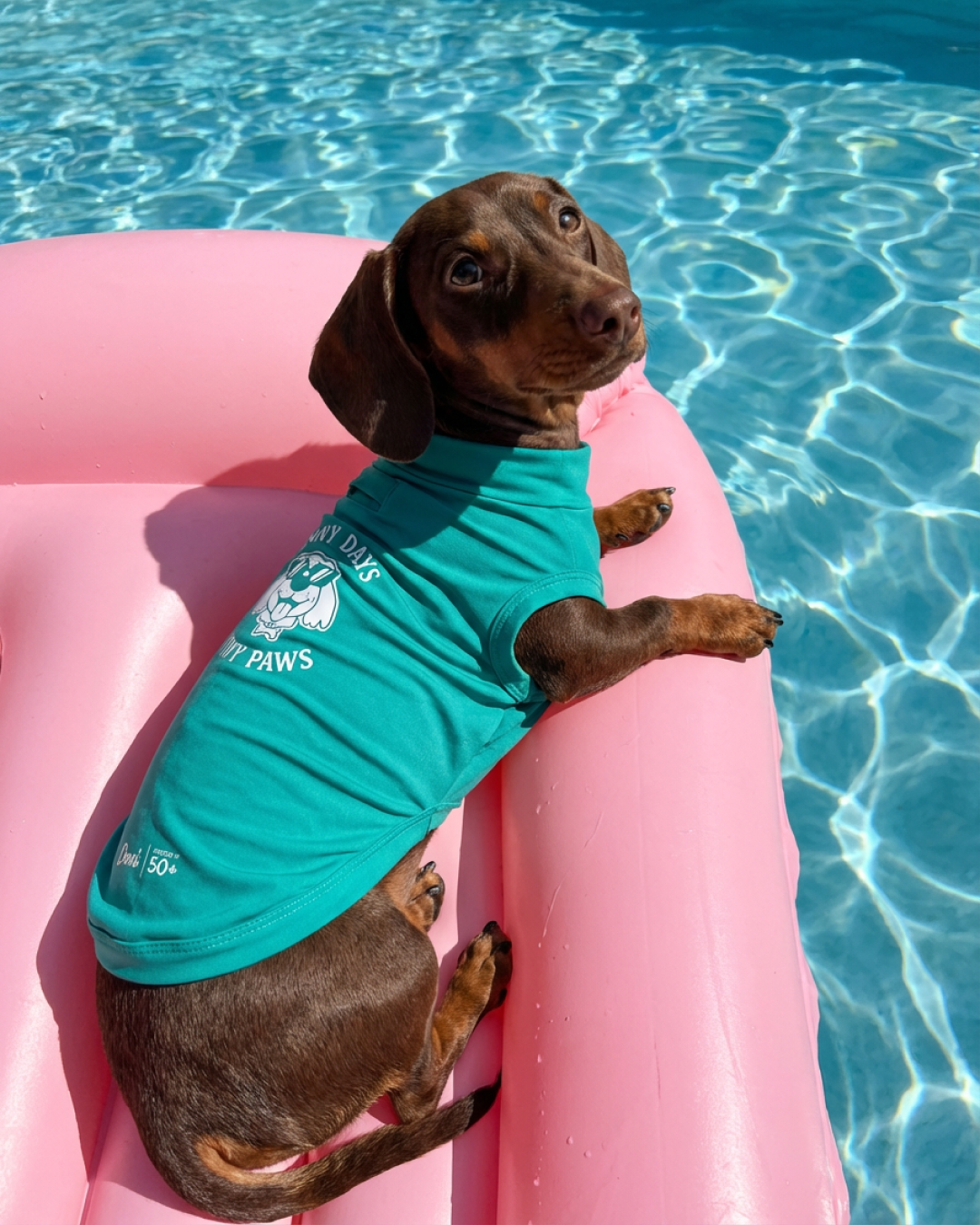 Regata Pet Verde Água Proteção UV +50