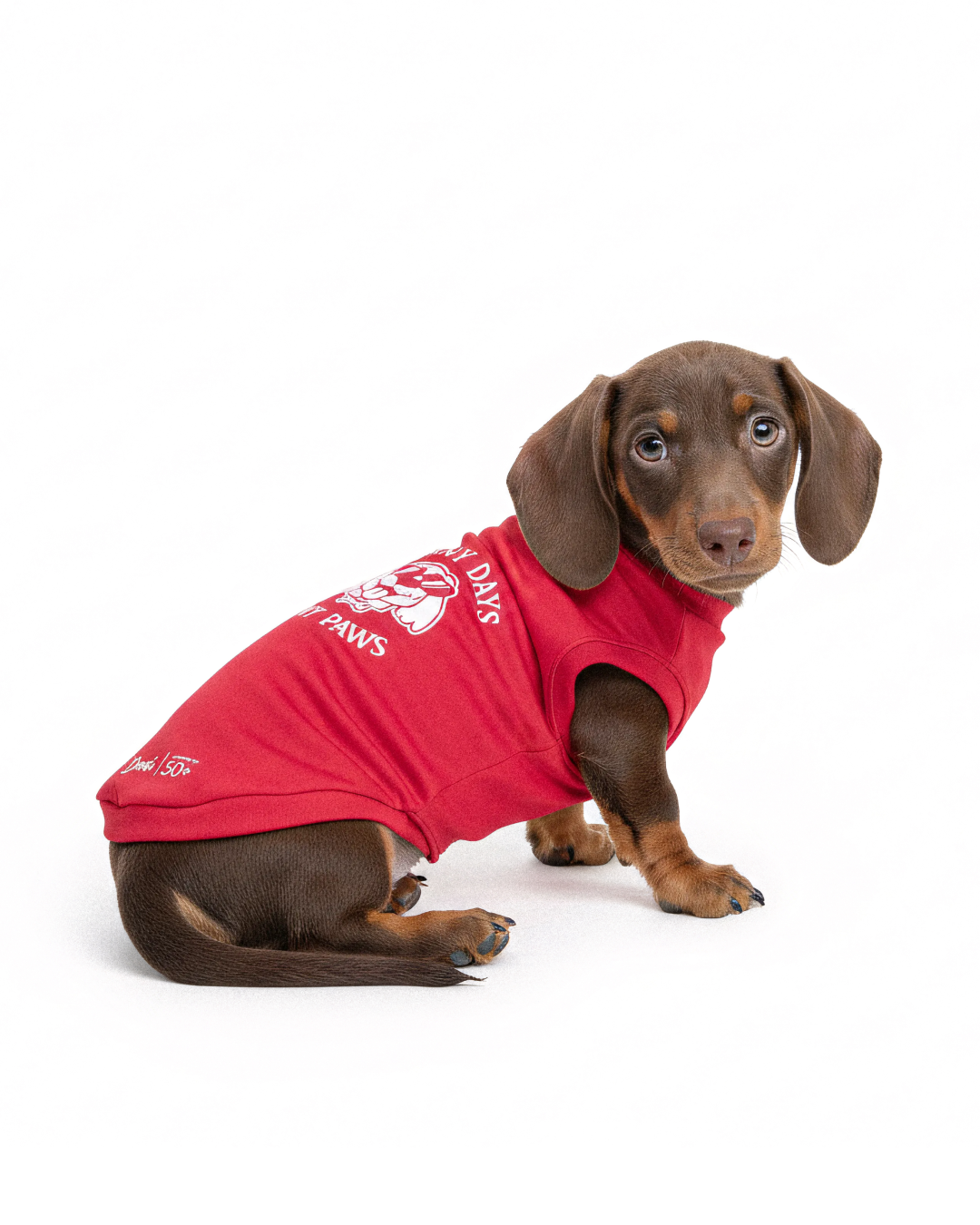 Regata Pet Coral Proteção UV +50