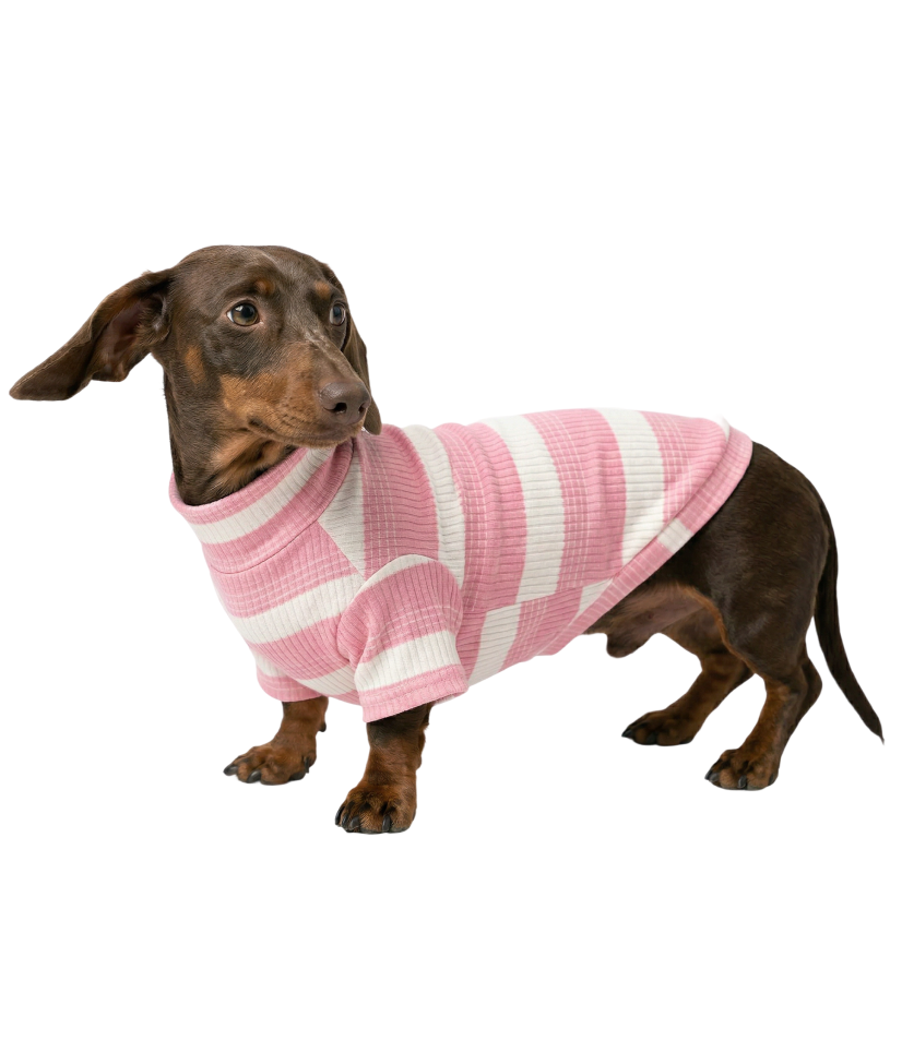 Camiseta Pet Canelada Listrada - Rosa com Creme