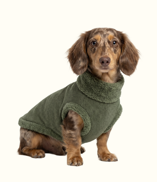 Roupa Pet Dachshund Canelada - Verde Militar