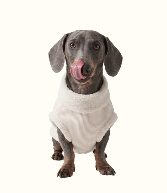 Roupa Pet Dachshund Canelada - Branco