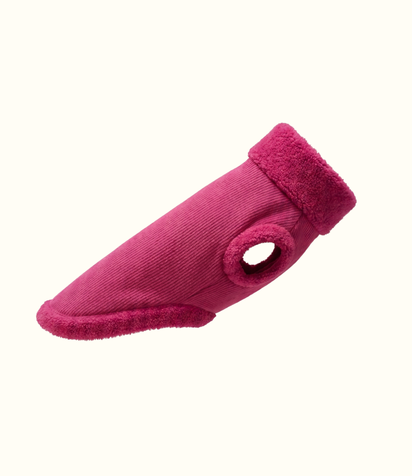 Roupa Pet Dachshund Canelada - Pitaya