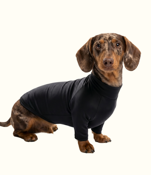 Roupa Pet Dachshund Térmica | Segunda Pele - Preto