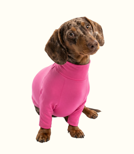 Roupa Pet Dachshund Térmica | Segunda Pele - Rosa