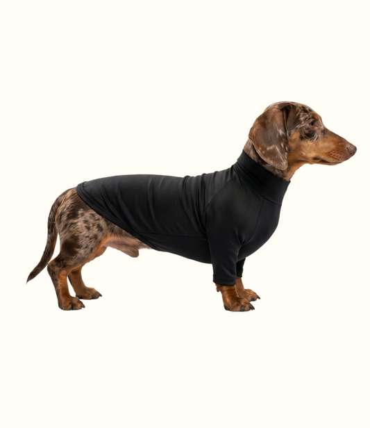 Roupa Pet Dachshund Térmica | Segunda Pele - Preto