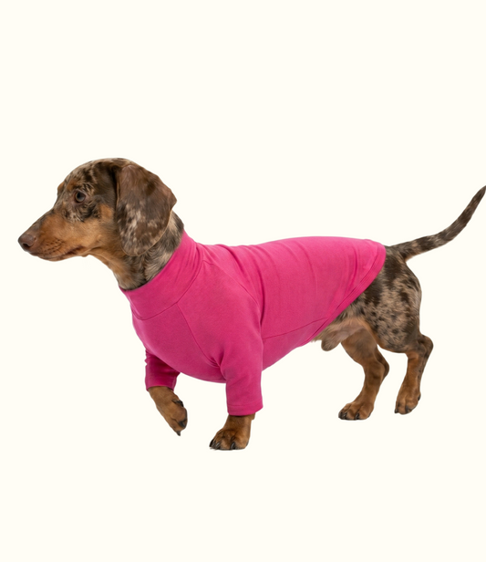 Roupa Pet Dachshund Térmica | Segunda Pele - Rosa