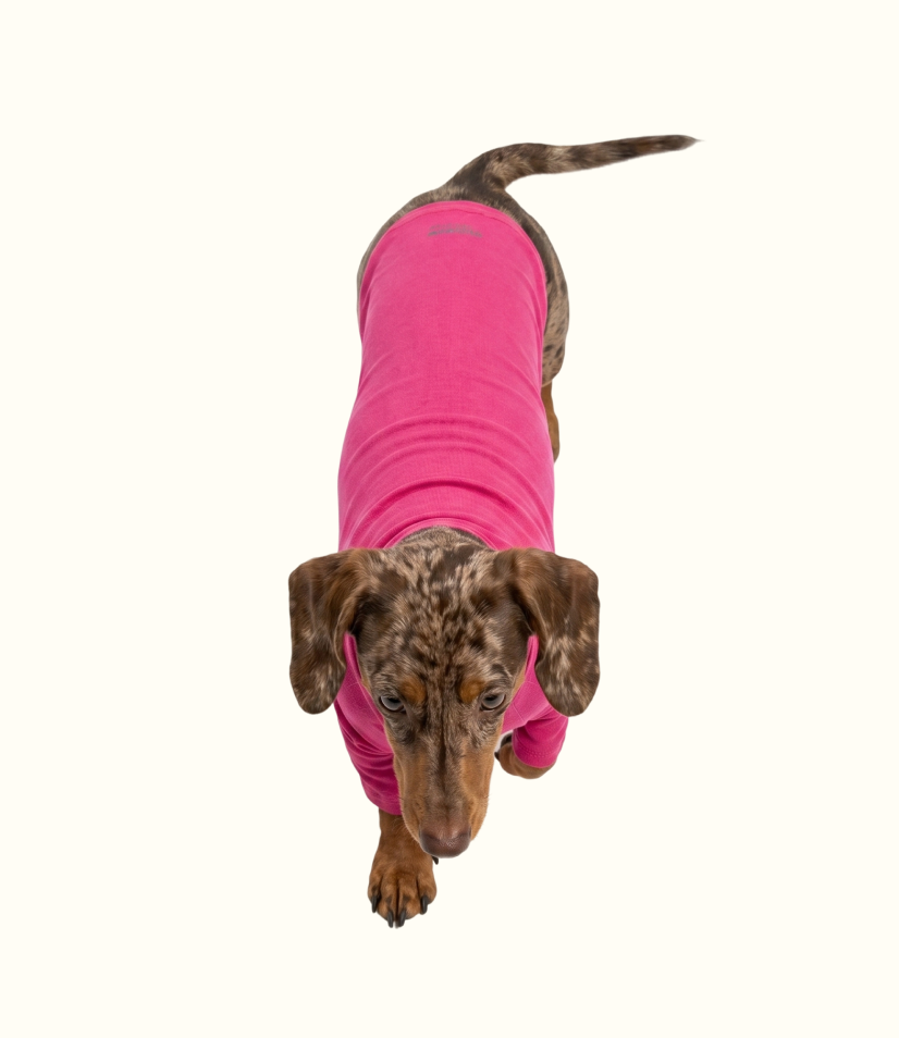 Roupa Pet Dachshund Térmica | Segunda Pele - Rosa