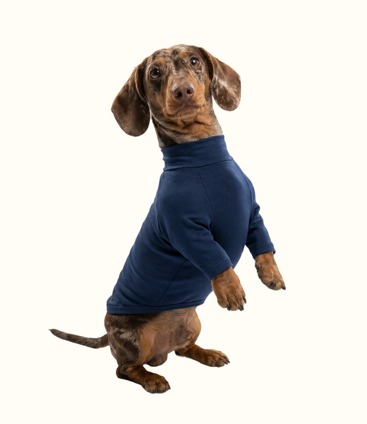 Roupa Pet Dachshund Térmica | Segunda Pele - Azul