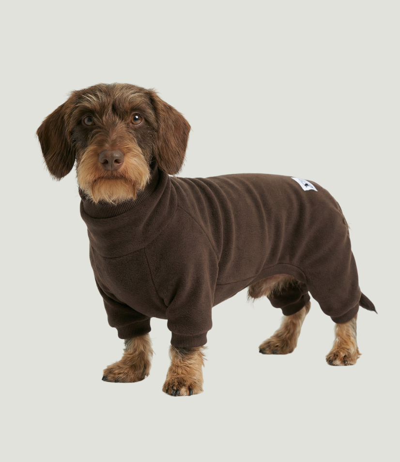 Macacão Pet Fleece Especial Dachshund - Café