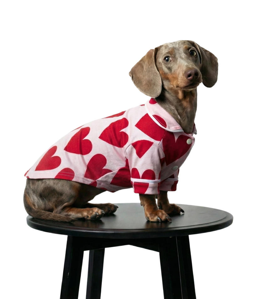Pijama Americano Pet Coração - Especial para Dachshund