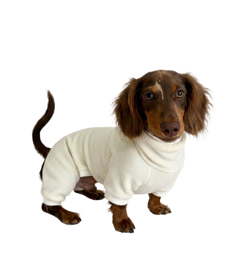 Macacão Pet Fleece Especial Dachshund - Off White