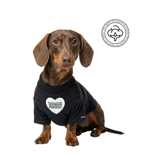 Camisa Hooman Friendly - Modelagem Dachshund
