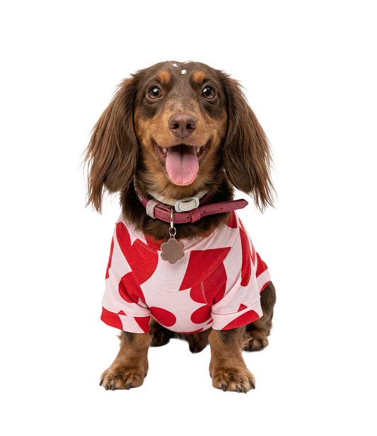 Camisa Pet Corações