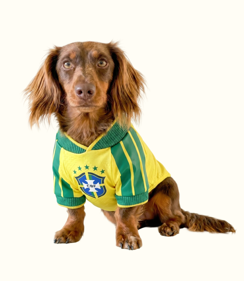 Camisa Copa 26 para Dachshund
